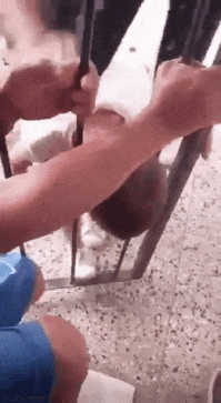 Голова пролезла - все пролезет. Акушерская мудрость)) *работает только в детстве!