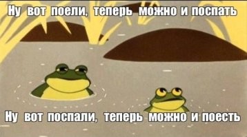 Лягушачьи фермы в Китае