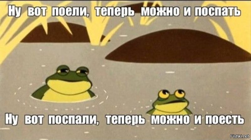 Лягушачьи фермы в Китае