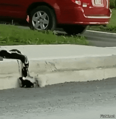 Просто гифки, всякие и&nbsp;разные