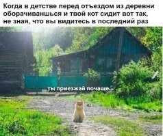 Скрины из соцсетей