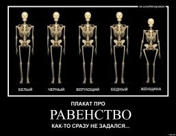 Демотиваторы от 2010 года