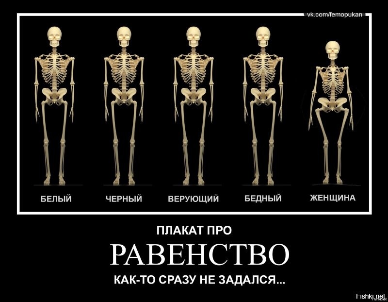 Демотиваторы от 2010 года