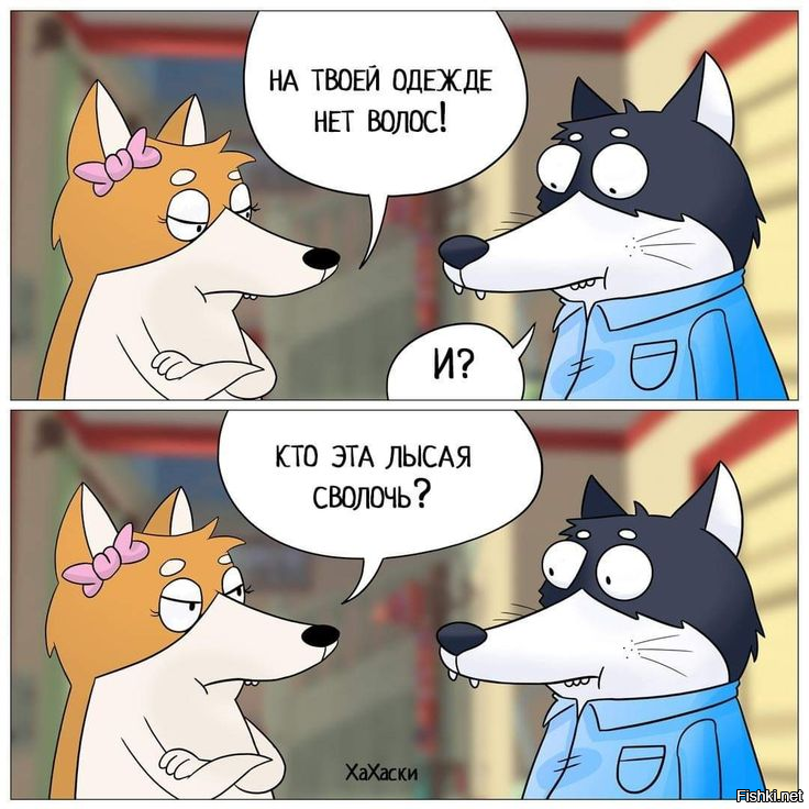 Скрины из соцсетей