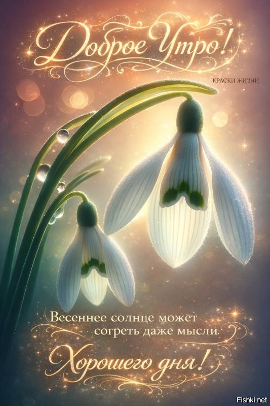 Доброго утра
