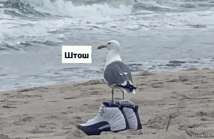 Солянка от 24.03.2026