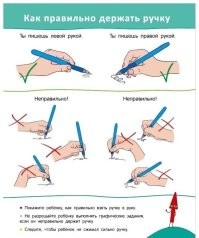 Прописи для взрослых