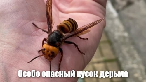 Памятка на лето