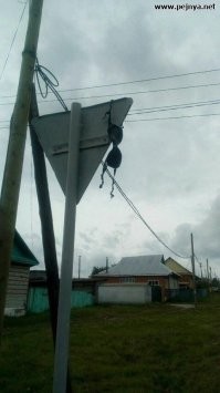 После дискотеки.