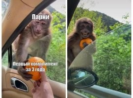 Как девушки и парни реагируют на комплименты