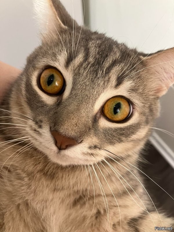 Ну а чо, прекрасно получилось! 
Правда много функций осталось нераскрыто, ночной тыгыдык например.