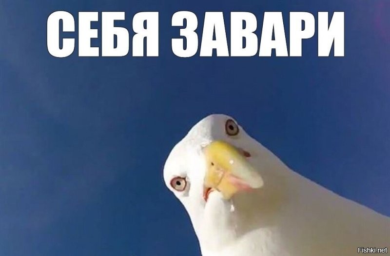 Солянка от 25.03.2026