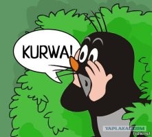 Реакция польской девушки на кабана