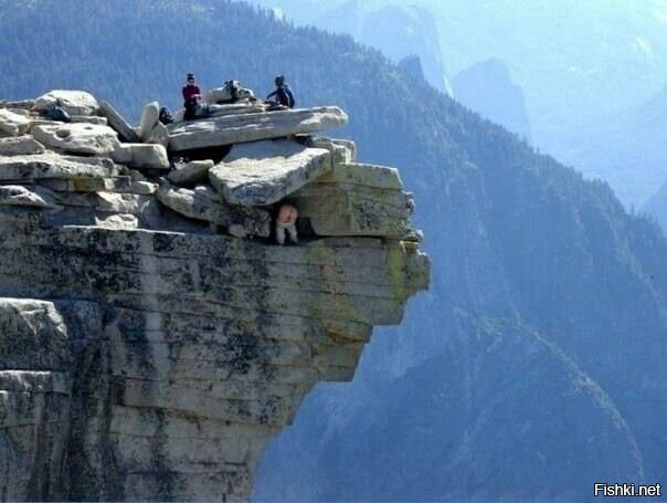 На общую тему 