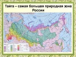 Формально даже Калининград находится в зоне тайги.

И Санкт-Петербург с Ленинградской областью.