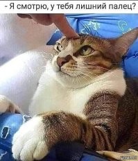 Хорошая чесалка для кошек