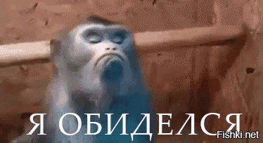 Поздно. Я уже