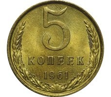 Уличный кот удивляется корму