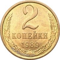 Уличный кот удивляется корму