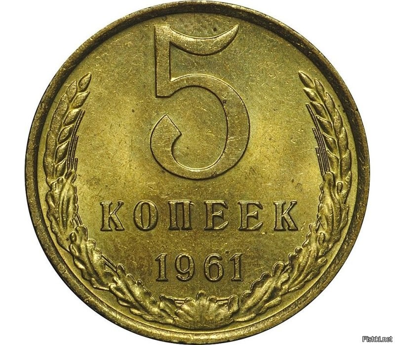 Уличный кот удивляется корму