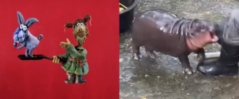 Знатный зверюга! (с)