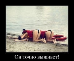 Смешные картинки