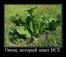 Смешные картинки