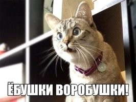 А сколько таких отморозков летают по стране. Скорость запредельная, или они думают что город это гоночная трасса?