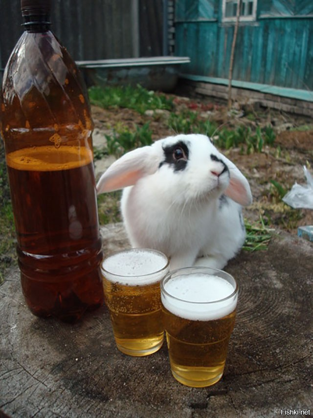 А у меня теперь каждый день пятница.