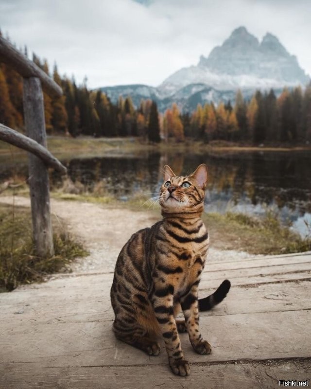 Привет )