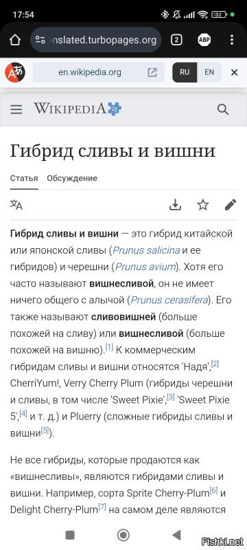 Солянка от 27.03.2026