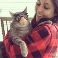 20+ моделей, фотогеничности которых можно только позавидовать