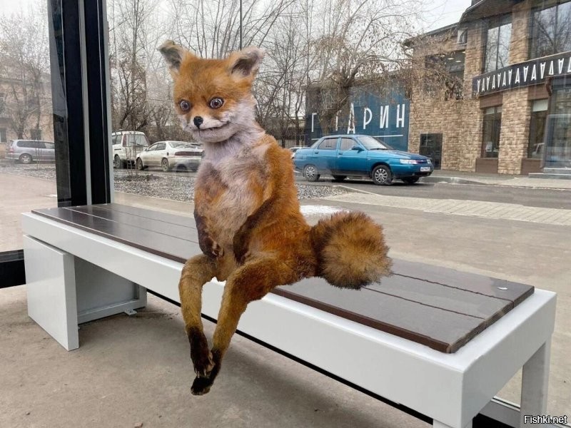 упротый пес?