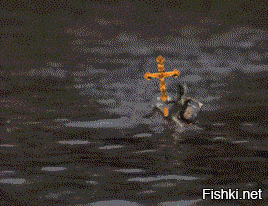 "Дориме
Интеримо адапаре
Дориме...":vampire: