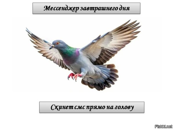 Солянка от 27.03.2026