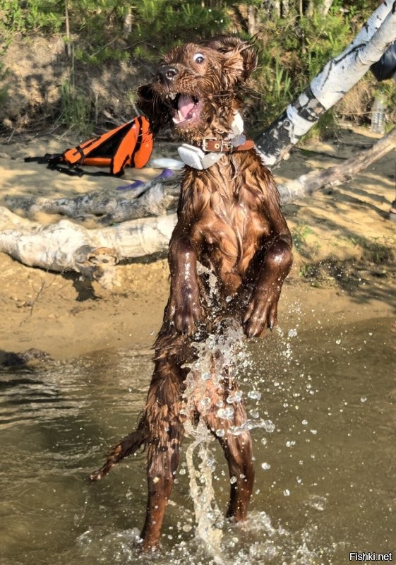 20+ моделей, фотогеничности которых можно только позавидовать
