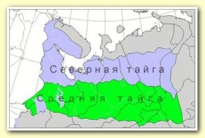 Таёжная климатическая зона как раз в Карелии и начинается.