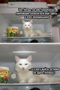 33 прикола