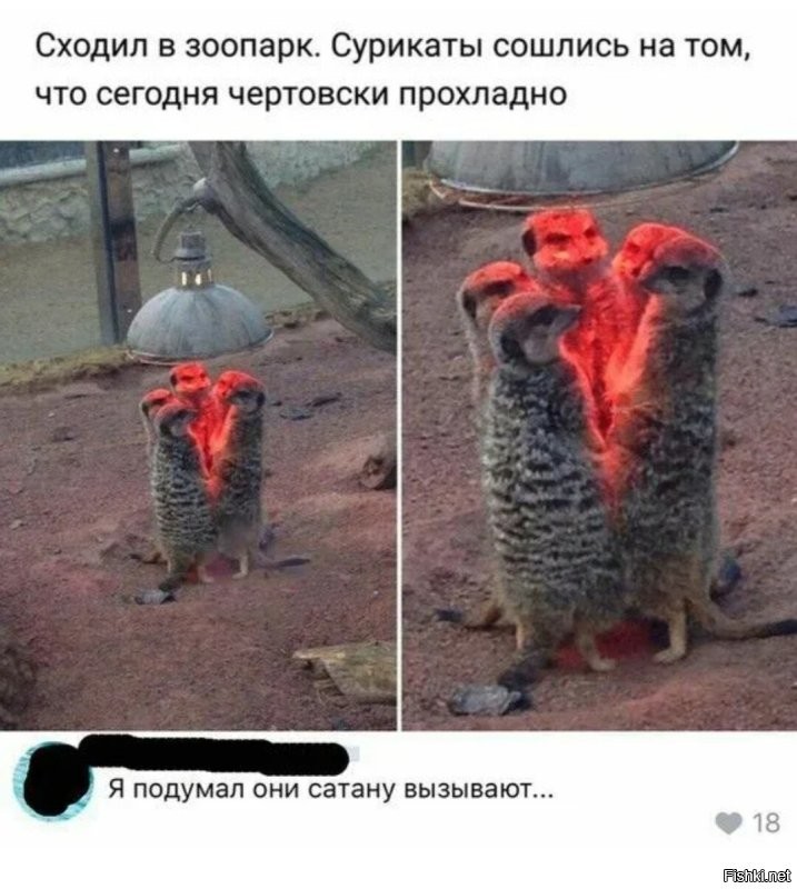 Да этих сурикатов...