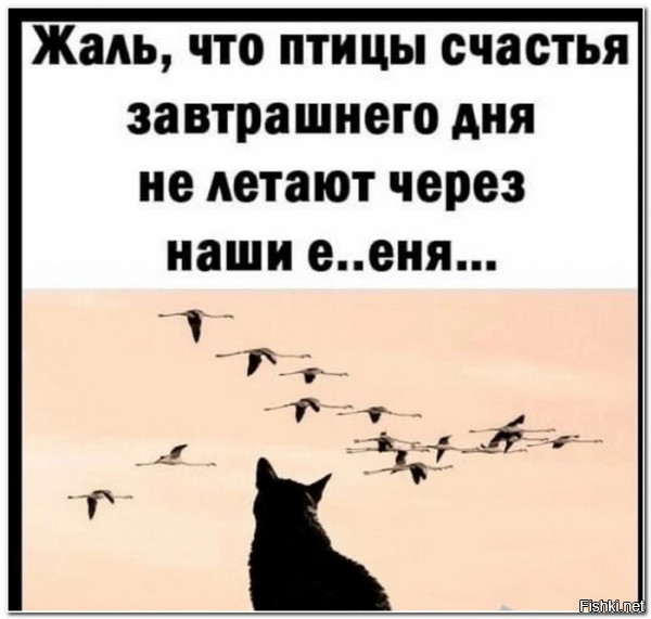 Солянка от 27.03.2026