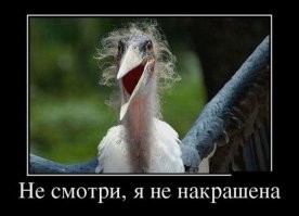 33 прикола