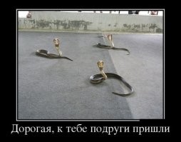 33 прикола