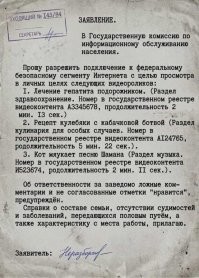 Паспорт как входной билет в сеть: в Госдуме предложили радикально ограничить интернет для детей