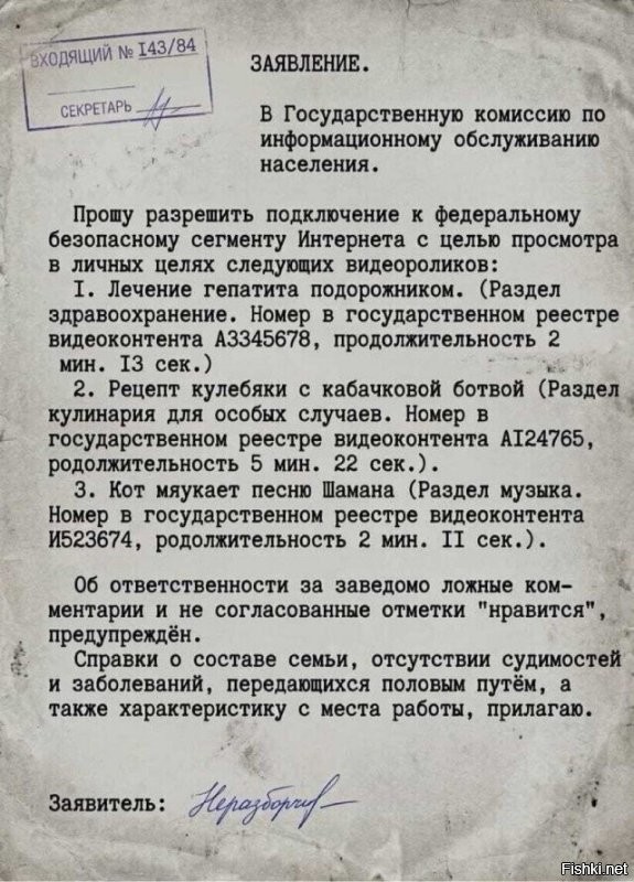 Паспорт как входной билет в сеть: в Госдуме предложили радикально ограничить интернет для детей