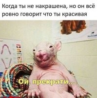 33 прикола