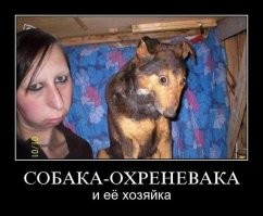 33 Прикола