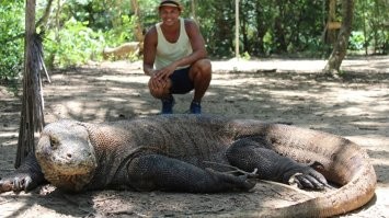 Вот огромный варан. А не этот ваш "тритончик".