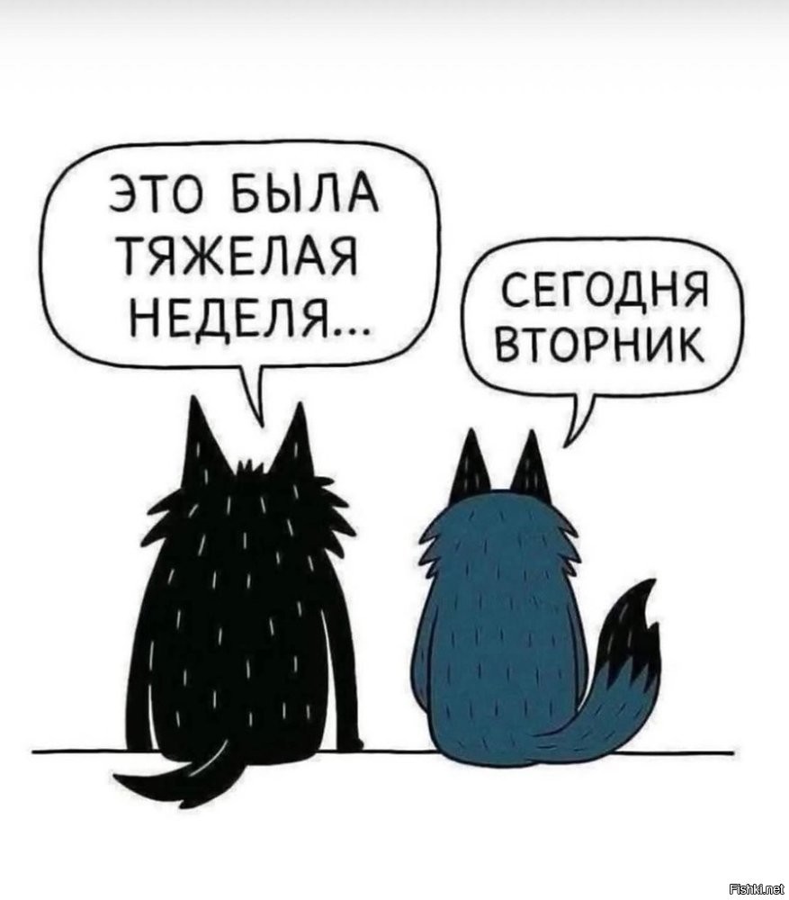 Солянка от 28.03.2026