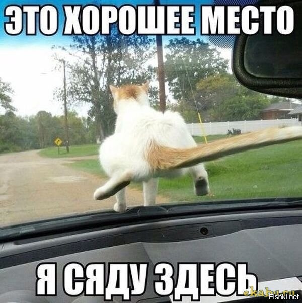 Солянка от 28.03.2026