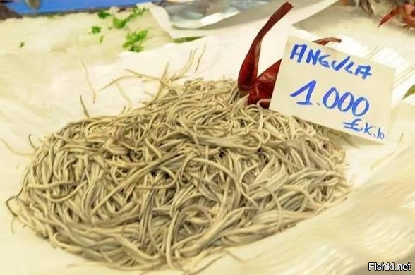 Как будто такой голодранец как ты в рыбе разбирается.)))